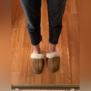 Various Shoes & Accessories